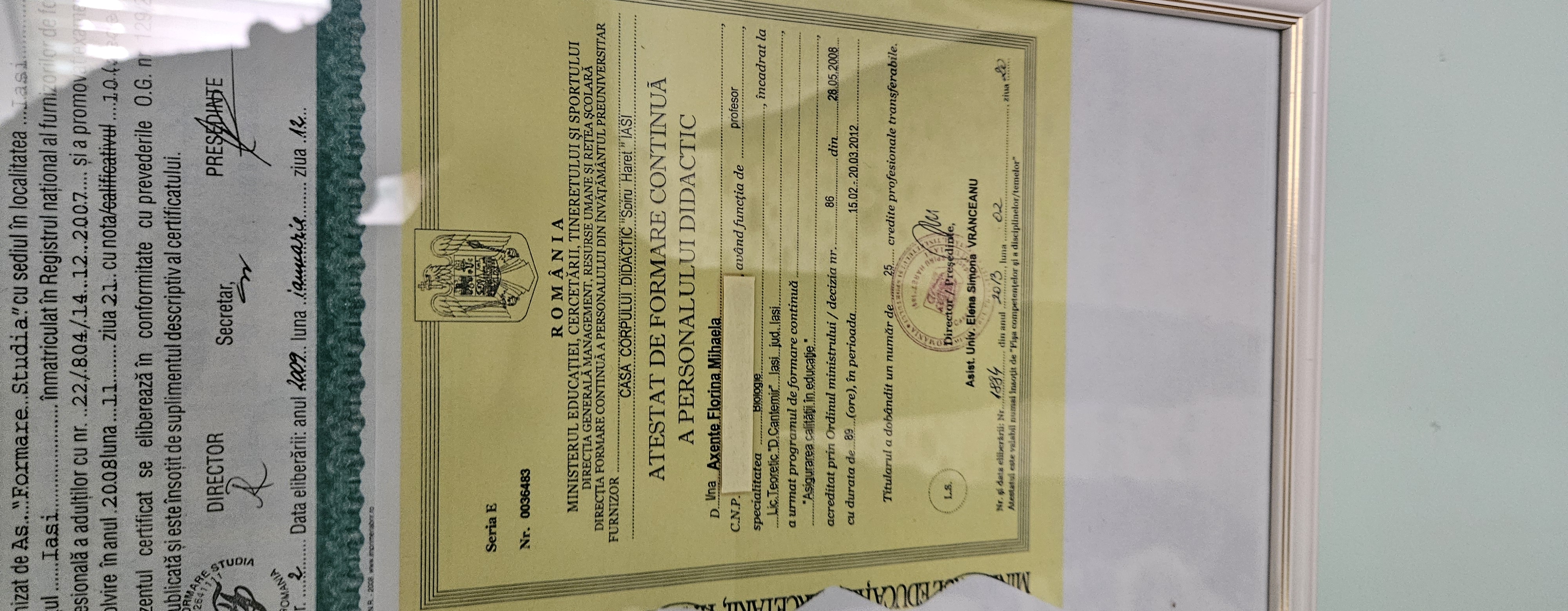 Certificat profesional pentru formare și specializare